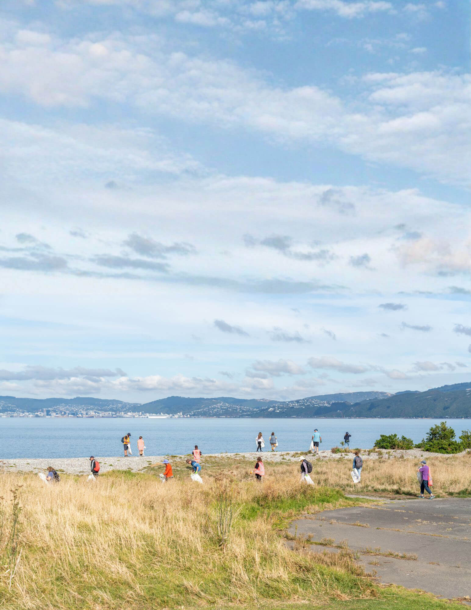 Clean Up the Hutt coastal scene