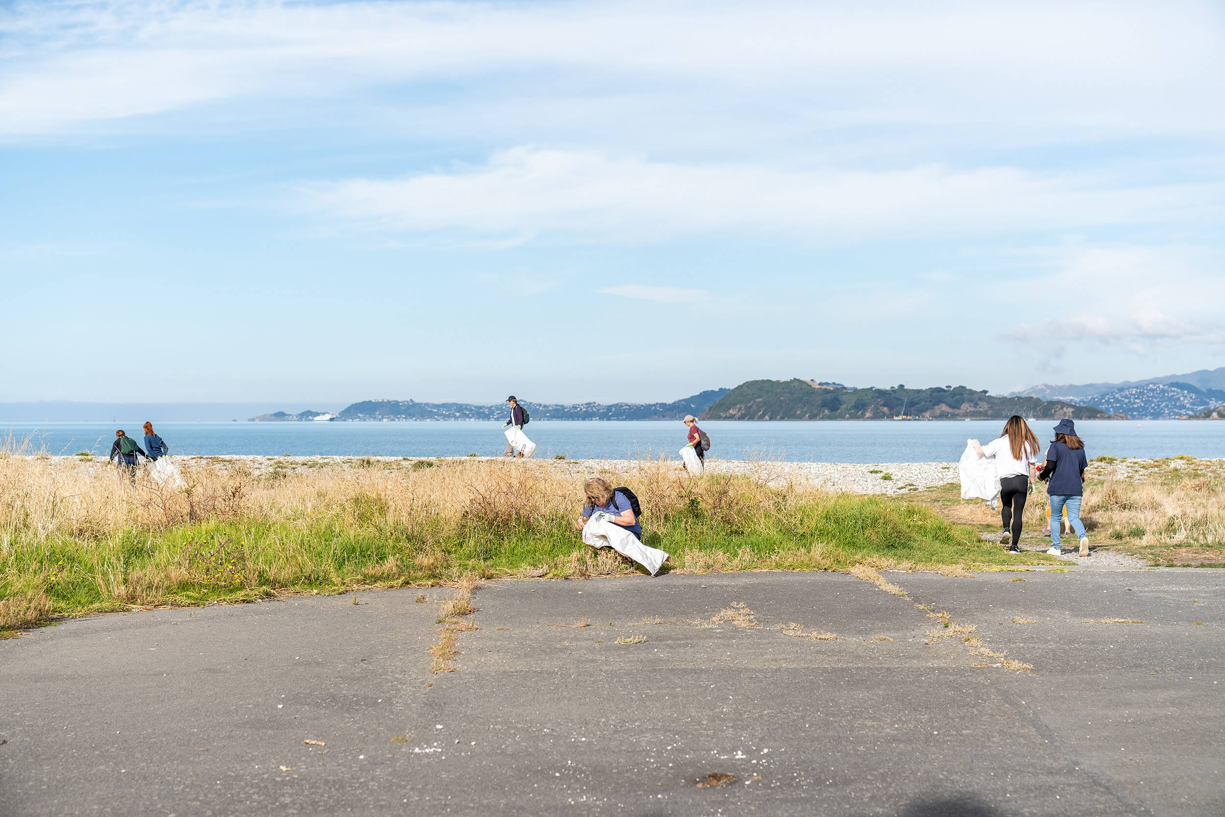 Clean Up the Hutt coastal scene